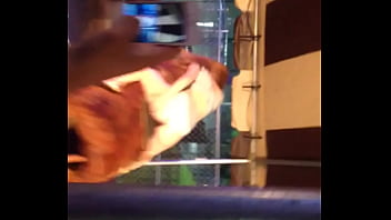 Video bokep part 13389229