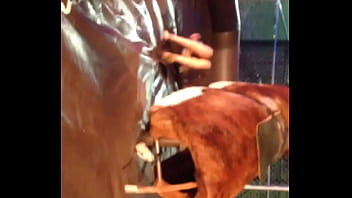 Video bokep part 13389229