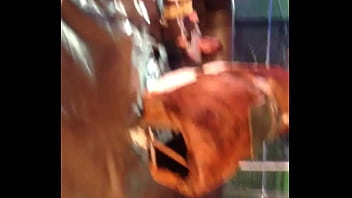 Video bokep part 13389229