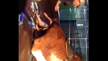 Video bokep part 13389229