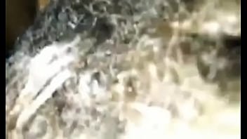 Sterlingmbshow update #11 vid 20241206 wa0002 feb 02 2025