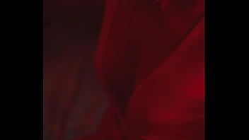 Bonjour vous c est le début des vacances pour moi je serais au cap