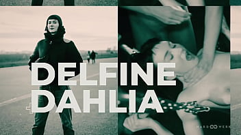 Hardwerk ask me bang delfine