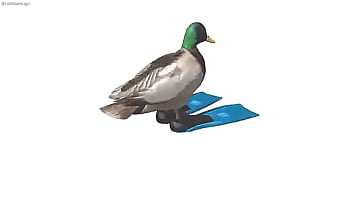 Pato Girando Con Música De Geometry Dash De Fondo thumbnail