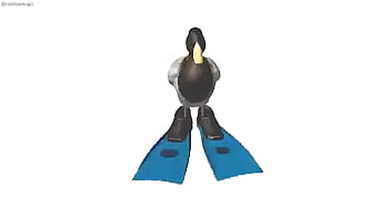 Pato girando con música de geometry dash de fondo