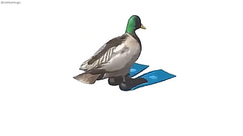 Pato girando con música de geometry dash de fondo