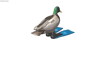 Pato girando con música de geometry dash de fondo