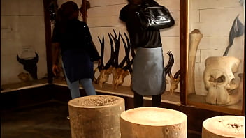 Beauty in stunning and spectacular babe sucks a huge cock before getting pounded from behind