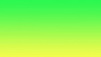 Meet the store 152081