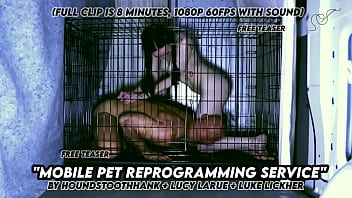 Mobile pet reprogramming service