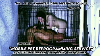 Mobile pet reprogramming service