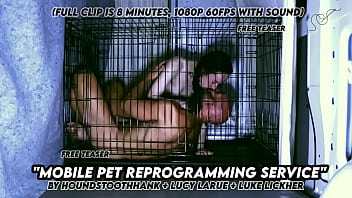 Mobile pet reprogramming service