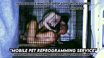 Mobile pet reprogramming service