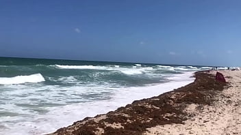 The sea The sea