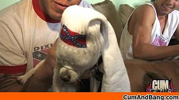 Black girl sucks many white cocks in redneck group 14