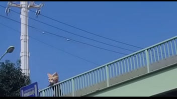Loona hyunjin around you Loona hyunjin around you