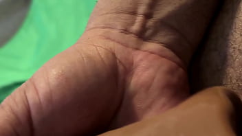 Paparock Update #2 Img 5305 Aug 27 2025 thumbnail