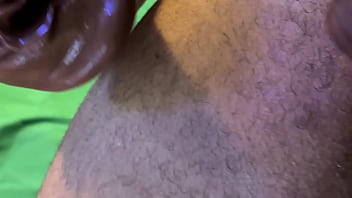 Paparock Update #2 Img 5305 Aug 27 2025 thumbnail