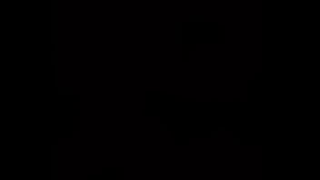 Gato arrecho con ganas de kchar