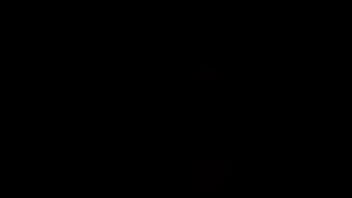 Gato arrecho con ganas de kchar