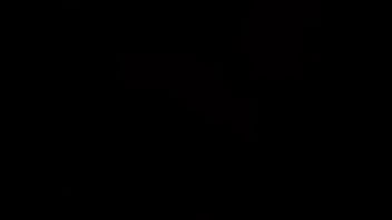 Gato arrecho con ganas de kchar