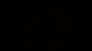 Gato arrecho con ganas de kchar