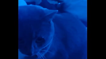 My wife & mistress goddessvownsu is sick so she whored her sissy slut out i was picked up by a bull with an 8 inch b