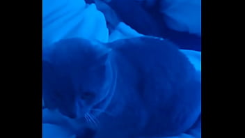 My wife & mistress goddessvownsu is sick so she whored her sissy slut out i was picked up by a bull with an 8 inch b