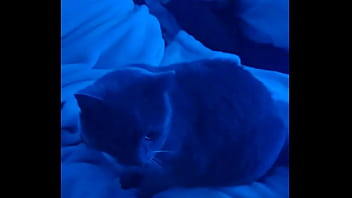 My wife & mistress goddessvownsu is sick so she whored her sissy slut out i was picked up by a bull with an 8 inch b