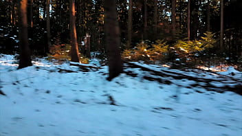 Gia saphirre car stockings 2018