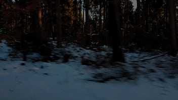 Gia saphirre car stockings 2018