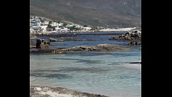 فيديو التحقق