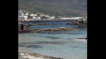 فيديو التحقق