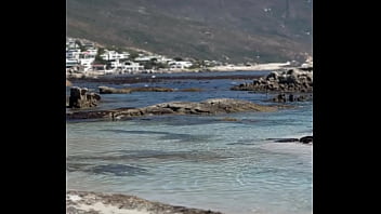 فيديو التحقق