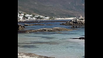 فيديو التحقق