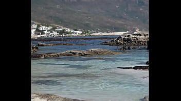 فيديو التحقق