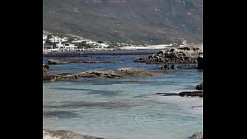 فيديو التحقق