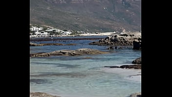 فيديو التحقق