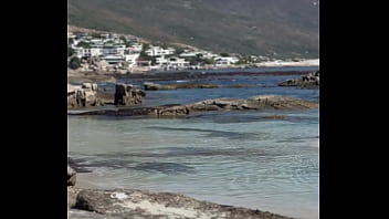 فيديو التحقق