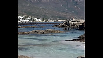 فيديو التحقق