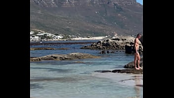 فيديو التحقق