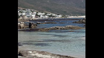 فيديو التحقق