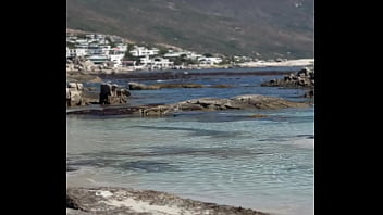 فيديو التحقق