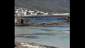 فيديو التحقق