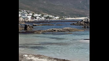 فيديو التحقق