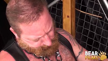 Fetish Cub Dicked By Bear Cock thumbnail