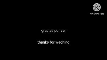 Foxy y la perra de nintendo