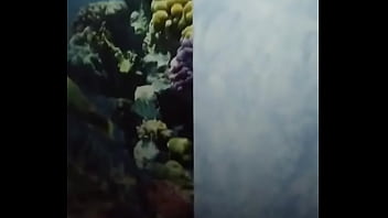 Видео для верификации