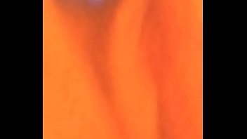 Celestia's lovely pussy