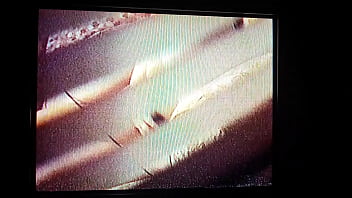 Bbw neighbor diddling with her pussy